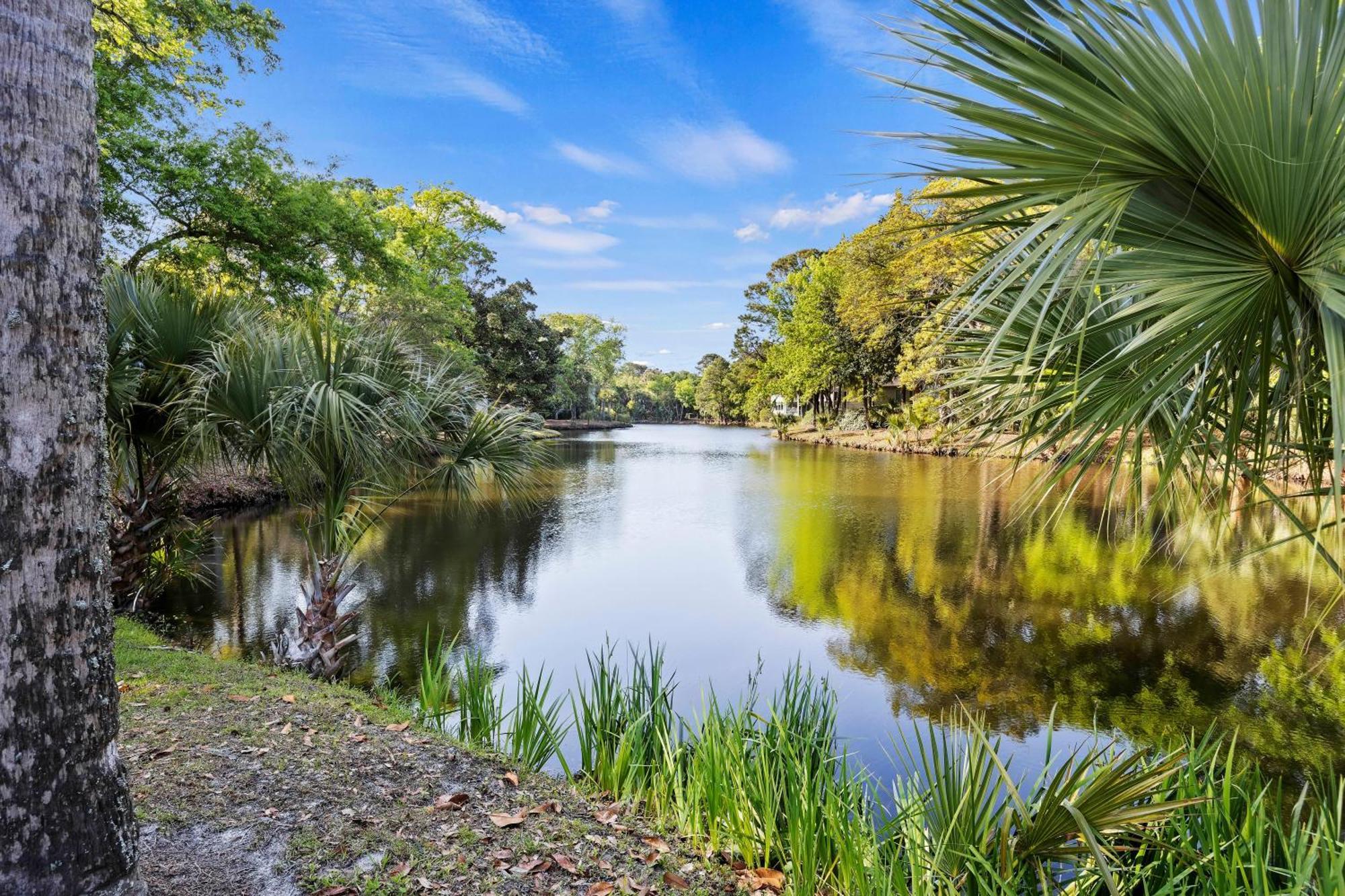 5556 Turtle Cove Villa Kiawah Island Dış mekan fotoğraf